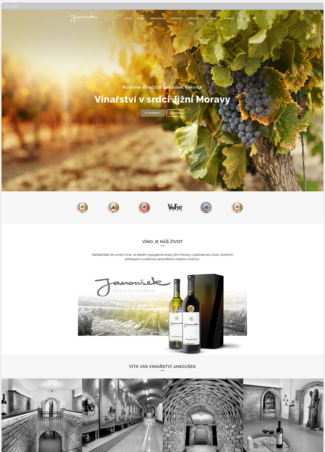 webdesign-grafika-brno